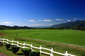 台東山海瘋狂一日遊~~
