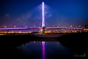 初遊新北大橋~~~