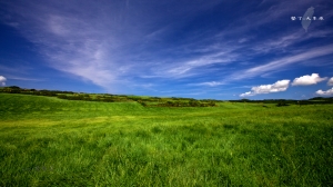 墾丁 - 大草原 by T大