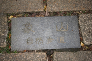 新手第一次拍夜景~