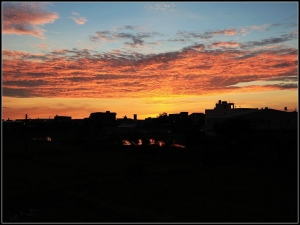 燒的太快 來不及拍好