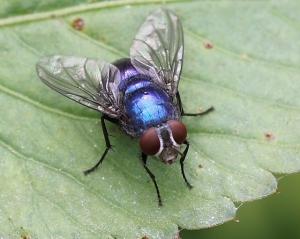 剛烤完漆......它真的很亮啦......