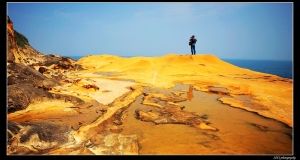 野柳公園半日遊～