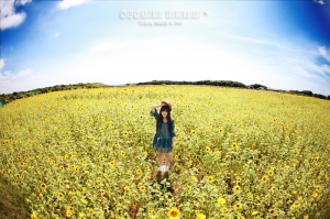 + Summer dream + ~ Nina