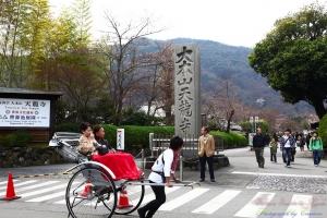 Kyoto, Japan - 桜の降りしきる京都 - VOL 3.2 - 天龍寺