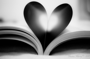 陸哈利一張流--LOVE