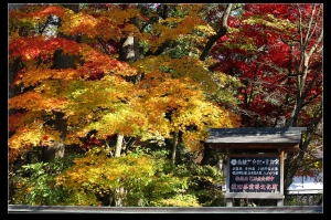 武家屋敷 紅葉も綺麗です
