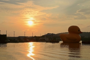 高雄黃色小鴨搶先看