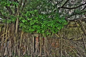 會上癮的HDR