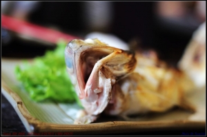 台南古都風情隨拍 ,,, By TONY