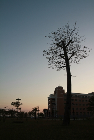 蕭瑟