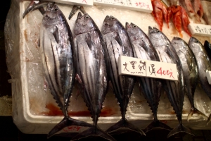 碧砂漁港採買海鮮，黑鮪魚一尾只要NTD400!!!