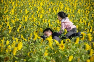 騎馬打仗 - 雜工