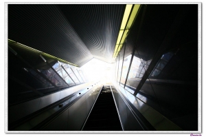 高雄美麗島亂亂拍