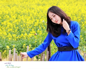 愛在黃花盛開時