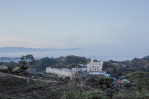 楊梅觀光茶園 . 騎自行車 . 看日出