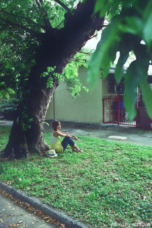 品果兔的最後一役