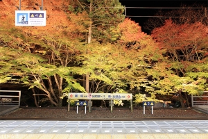 京都貴船神社