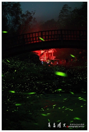 螢火晚會-2012圓潭自然生態園區