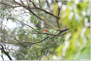 ●●●睹神是從來不拍照的●●● by雙胞胎爸