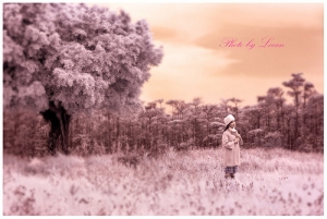 夢遊台南-(台南雪景)