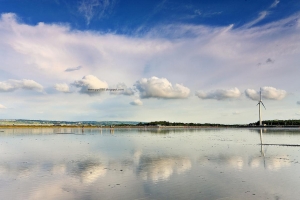 高美....濕地之美