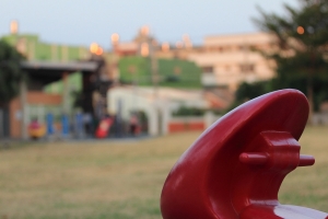 [小小白]公園隨拍