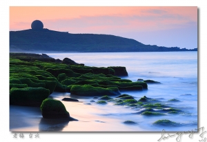 老梅～春之氣息～