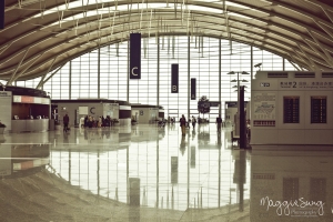 上海速寫 (城巿景觀&人文記實)