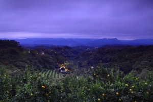 早起喝龜湯，養生又健康。&nbsp;&nbsp;… by DW