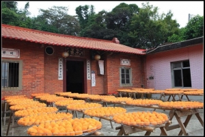 (5D2)  10/16味衛佳柿餅加工廠參觀記