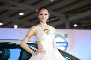 台中新車大展