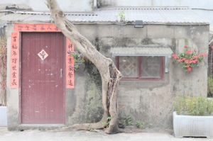 眷村新生命