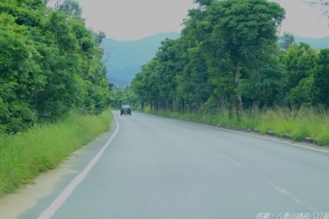 2010沖繩八重山諸島 Day4