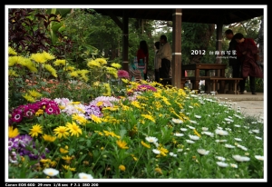 台南百花季開幕囉~~