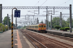 55-250 中焦段鏡頭首拍