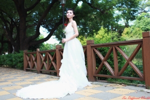 . 初秋 . 白色浪漫 .