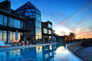 日出映照泳池畔 歡樂蜻蜓石