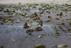 大雨過後