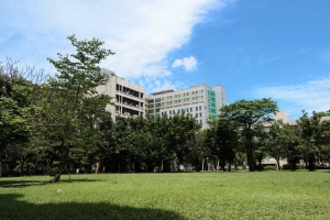 雨歇後的無題拍