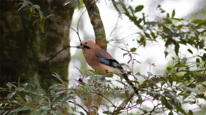 大雪山踏青隨手拍