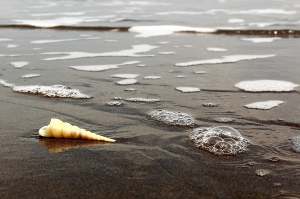 沒拍到龍舟!! 只好隨拍~ ~