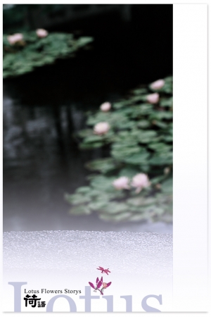 【Zoie Theme】荷語