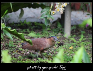 肚子餓了嗎?&nbsp;&nbsp;稍作休息，來看一下美食分享吧 : )&nb
