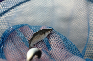 基隆海邊亂亂拍