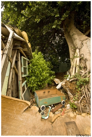 一張流 『遺棄』