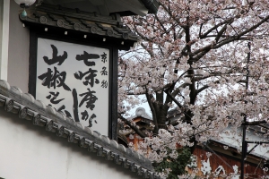日本 四月 關西 賞櫻行 01 - 京都