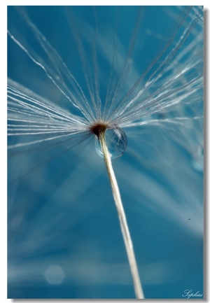 [450D]20100426 part1