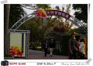 2007士林官邸菊展