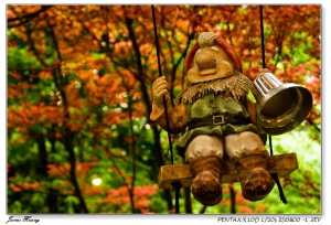 楓顏    楓語。20090401台北奧萬大